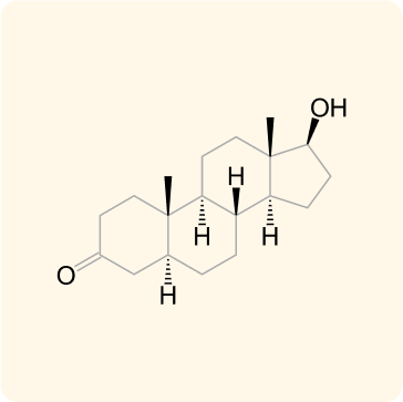 Schéma de formule développée d'une molécule stéroïde représentant quatre cycles reliés entre eux, avec un groupe OH (hydroxyle) et un groupe =O (carbonyle) fixés à des positions différentes. Certains atomes d'hydrogène sont indiqués par des segments pleins et en pointillés.